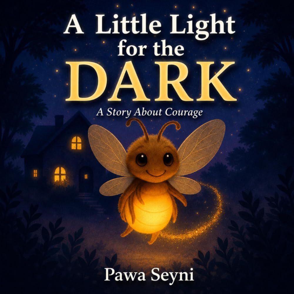 A Little Light for the Dark – book cover